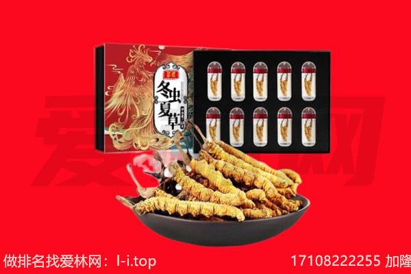 延边州敦化回收虫草.jpg